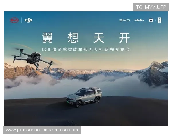 K8凯发官网代接服务的优势与未来发展趋势分析