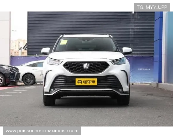 皇冠登陆最新版本上线,体验更流畅的操作体验