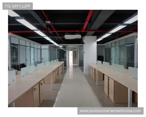 凯发国际k8官网登录：多种登录方式介绍及账户安全设置技巧