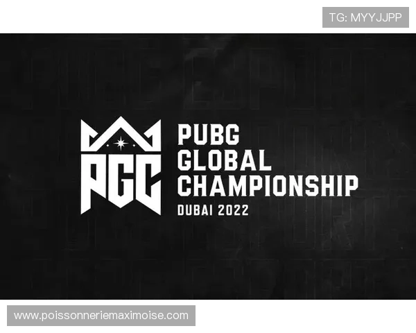 k8凯发官网登录入口最新版本上线,确保用户账号安全与游戏流畅 k8凯发官网登录入口最新版本上线,确保用户账号安全与游戏流畅