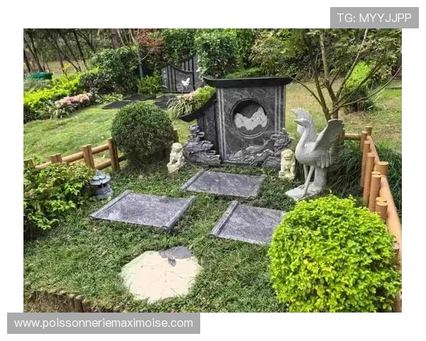 凯发体育app首页在哪找？官方客服提供的最全导航指南解析