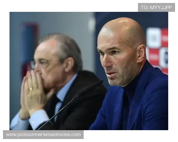 凯发官网app下载：用户评价与使用心得，真实体验分享帮助选择