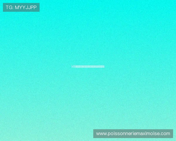 k8娱乐官方平台的技术支持与维护保障措施详解