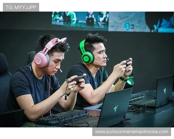 凯发电游登录入口官方最新版，提供稳定流畅的游戏环境与多样化的娱乐选择