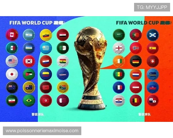 2026年世界杯南美区预选赛积分榜最新动态与各队争夺晋级名额的关键因素