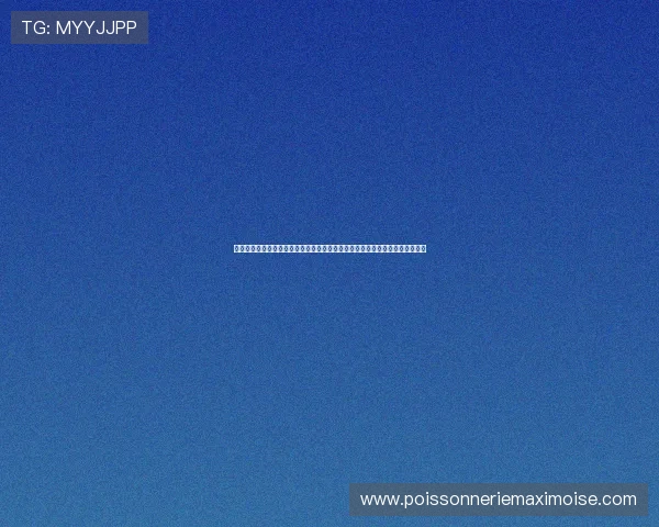 三公九卿制的制度特点与职责划分，帮助你掌握古代官员的权责关系与行政体系